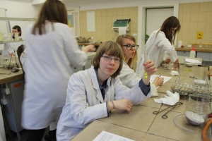 Zajęcia laboratoryjne z chemii w Katowicach, kl. 1c, 13.03.2015 - zdjęcie30