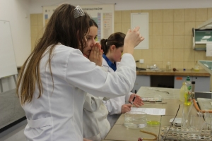Zajęcia laboratoryjne z chemii w Katowicach, kl. 1c, 13.03.2015 - zdjęcie28