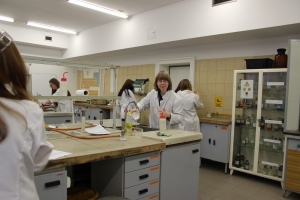 Zajęcia laboratoryjne z chemii w Katowicach, kl. 1c, 13.03.2015 - zdjęcie24