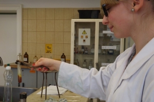 Zajęcia laboratoryjne z chemii w Katowicach, kl. 2d, 30.03.2015 - zdjęcie9
