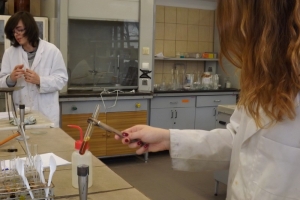 Zajęcia laboratoryjne z chemii w Katowicach, kl. 2d, 30.03.2015 - zdjęcie6