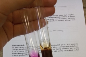 Zajęcia laboratoryjne z chemii w Katowicach, kl. 2d, 30.03.2015 - zdjęcie23