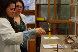 Zajęcia laboratoryjne z chemii w Katowicach, kl. 2c, 27.03.2015 - zdjęcie4