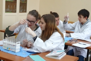 Warsztaty chemiczne dla gimnazjalistów, 2015 - zdjęcie30