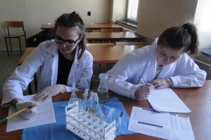 Warsztaty chemiczne dla gimnazjalistów, 2015 - zdjęcie28