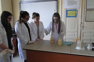 Warsztaty chemiczne dla gimnazjalistów, 2015 - zdjęcie25