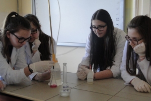 Warsztaty chemiczne dla gimnazjalistów, 2015 - zdjęcie22