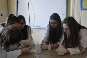 Warsztaty chemiczne dla gimnazjalistów, 2015 - zdjęcie21