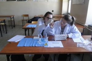 Warsztaty chemiczne dla gimnazjalistów, 2015 - zdjęcie18
