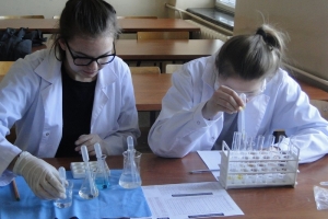 Warsztaty chemiczne dla gimnazjalistów, 2015 - zdjęcie17