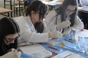 Warsztaty chemiczne dla gimnazjalistów, 2015 - zdjęcie16