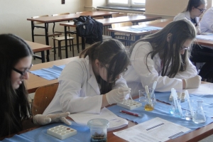 Warsztaty chemiczne dla gimnazjalistów, 2015 - zdjęcie15