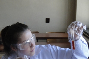 Warsztaty chemiczne dla gimnazjalistów, 2015 - zdjęcie14