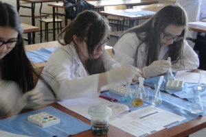 Warsztaty chemiczne dla gimnazjalistów, 2015 - zdjęcie12