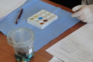 Warsztaty chemiczne dla gimnazjalistów, 2015 - zdjęcie10