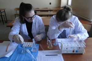 Warsztaty chemiczne dla gimnazjalistów, 2015 - zdjęcie8