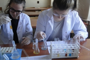 Warsztaty chemiczne dla gimnazjalistów, 2015 - zdjęcie7
