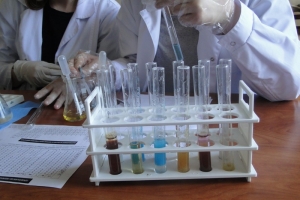 Warsztaty chemiczne dla gimnazjalistów, 2015 - zdjęcie6