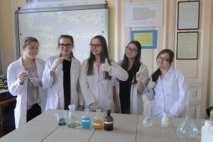 Warsztaty chemiczne dla gimnazjalistów, 2015 - zdjęcie2