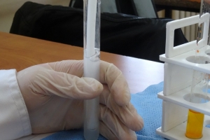 Warsztaty chemiczne dla gimnazjalistów, 2015 - zdjęcie36