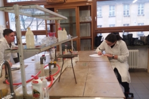 Maturzyści na zajęciach laboratoryjnych z chemii w Katowicach 2018 - zdjęcie11