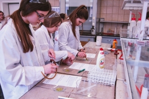 Klasa 1c na zajęciach laboratoryjnych z chemii w Katowicach, 2018 - zdjęcie5