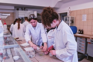 Klasa 1c na zajęciach laboratoryjnych z chemii w Katowicach, 2018 - zdjęcie4
