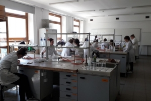 Klasa 2c na zajęciach laboratoryjnych z chemii w Katowicach, 2018 - zdjęcie1