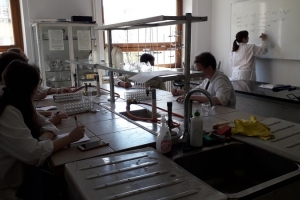 Klasa 2c na zajęciach laboratoryjnych z chemii w Katowicach, 2018 - zdjęcie4