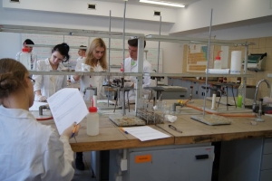 Zajęcia laboratoryjne z chemii w Katowicach kl. 3a i 3d, 09.10.2015 - zdjęcie12