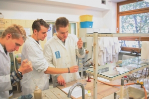 Zajęcia laboratoryjne z chemii w Katowicach kl. 3c, 12.10.2015 - zdjęcie8