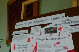 Narodowy Dzień Pamięci Żołnierzy Wyklętych, 1.03.2016 - zdjęcie2