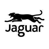 Podziękowania dla Wydawnictwa Literackiego „Jaguar”