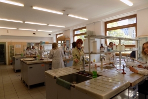 Klasa 2c na zajęciach laboratoryjnych z chemii w Katowicach, 22.04.2016 - zdjęcie38