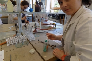 Klasa 2c na zajęciach laboratoryjnych z chemii w Katowicach, 22.04.2016 - zdjęcie26