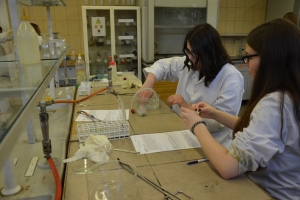 Klasa 1c i 1d na zajęciach laboratoryjnych z chemii w Katowicach, 23.05.2016 - zdjęcie10