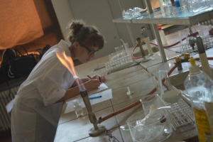 Klasa 1c i 1d na zajęciach laboratoryjnych z chemii w Katowicach, 23.05.2016 - zdjęcie3