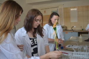 Klasa 1c i 1d na zajęciach laboratoryjnych z chemii w Katowicach, 23.05.2016 - zdjęcie1