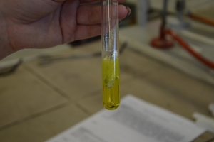 Klasa 1c i 1d na zajęciach laboratoryjnych z chemii w Katowicach, 23.05.2016 - zdjęcie17