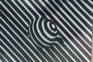 Kompozycja Op-art, czyli gra ze wzrokiem widza w Galerii Sztuki 