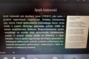 Międzynarodowy Dzień Języka Ojczystego w naszym liceum - zdjęcie27