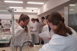 Klasa 1d na zajęciach laboratoryjnych z chemii w Katowicach, 31.03.2017 - zdjęcie12