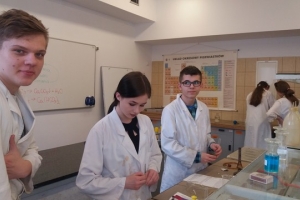 Klasa 1d na zajęciach laboratoryjnych z chemii w Katowicach, 31.03.2017 - zdjęcie7
