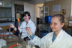 Klasa 1d na zajęciach laboratoryjnych z chemii w Katowicach, 31.03.2017 - zdjęcie20