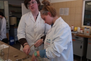 Klasa 1d na zajęciach laboratoryjnych z chemii w Katowicach, 31.03.2017 - zdjęcie2