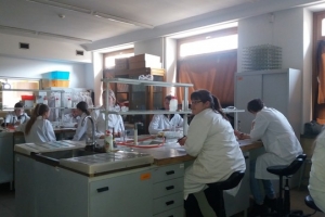 Klasa 1d na zajęciach laboratoryjnych z chemii w Katowicach, 31.03.2017 - zdjęcie15