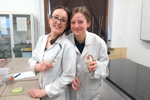 Klasa 1c na zajęciach laboratoryjnych z chemii w Katowicach, 07.04.2017 - zdjęcie16