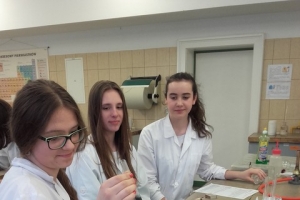 Klasa 1c na zajęciach laboratoryjnych z chemii w Katowicach, 07.04.2017 - zdjęcie33