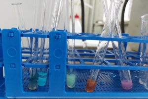 Uczniowie klas maturalnych o profilu biologiczno-chemicznym na zajęciach w Instytucie Chemii UŚ - zdjęcie9