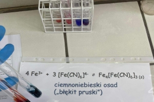 Uczniowie klas pierwszych o profilu biologiczno-chemicznym na zajęciach w Instytucie Chemii UŚ - zdjęcie11